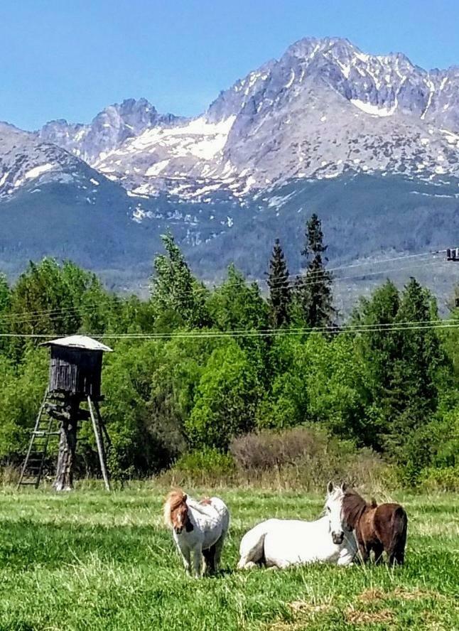 Отель Penzion Monty Ranch Vysoke Tatry Штола Экстерьер фото